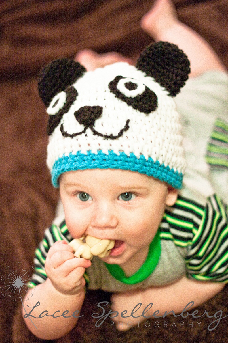 Crochet Dreamz: Panda Animal Hat Crochet Pattern, Newborn ...