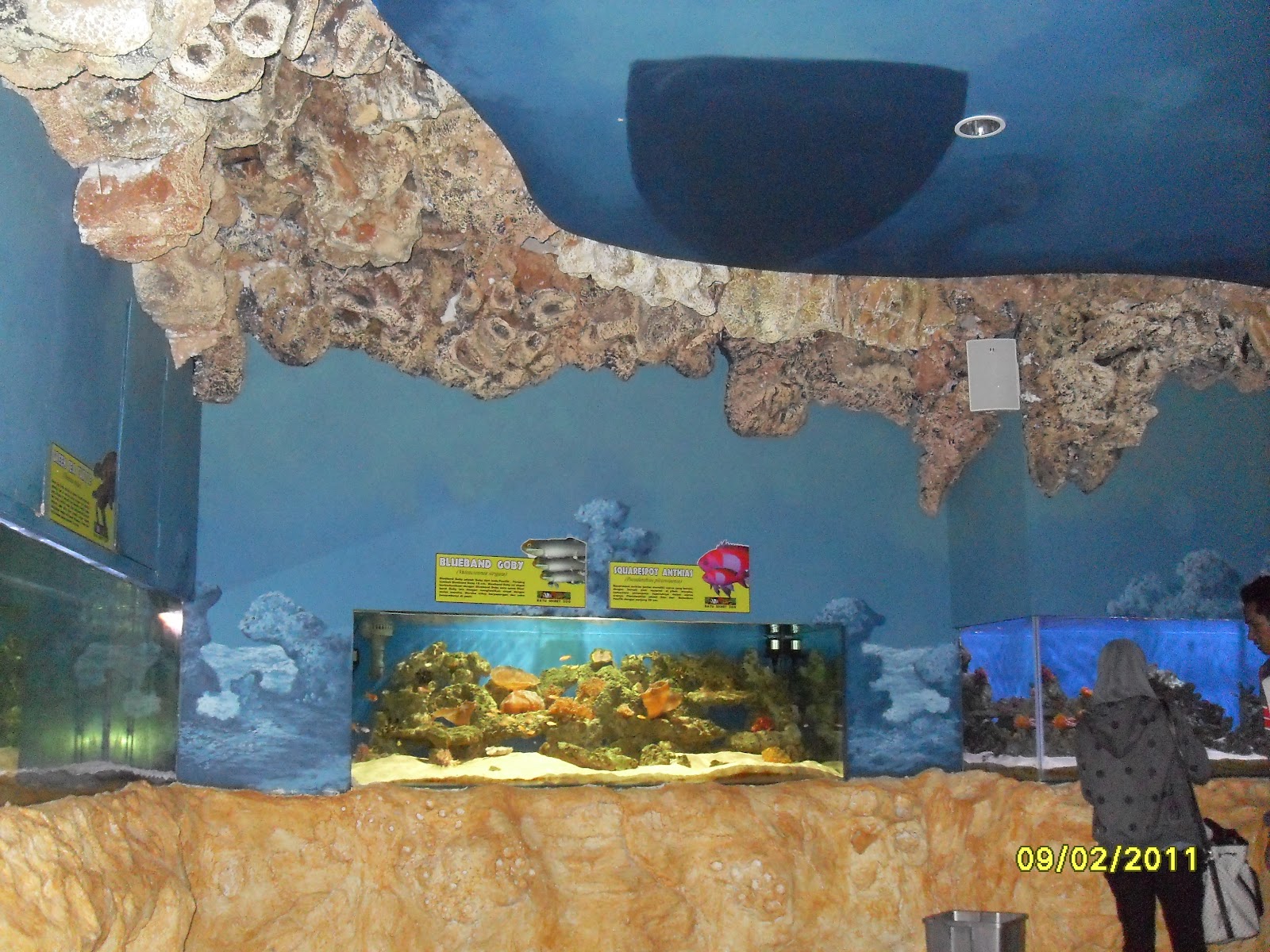 tiket masuk batu secret zoo malang ~ five posting