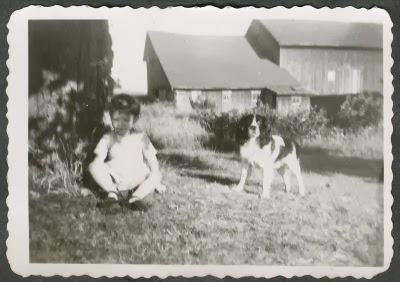 dog with toddler