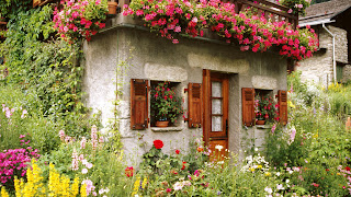 beautiful-flower-garden-