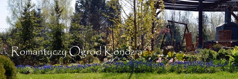 Romantyczny Ogród Kondzia