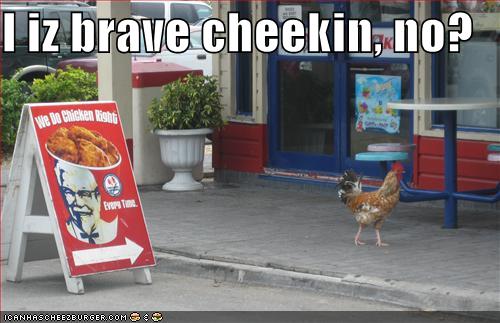[Image: funny-pictures-brave-chicken-kfc.jpg#lol...%20500x323]