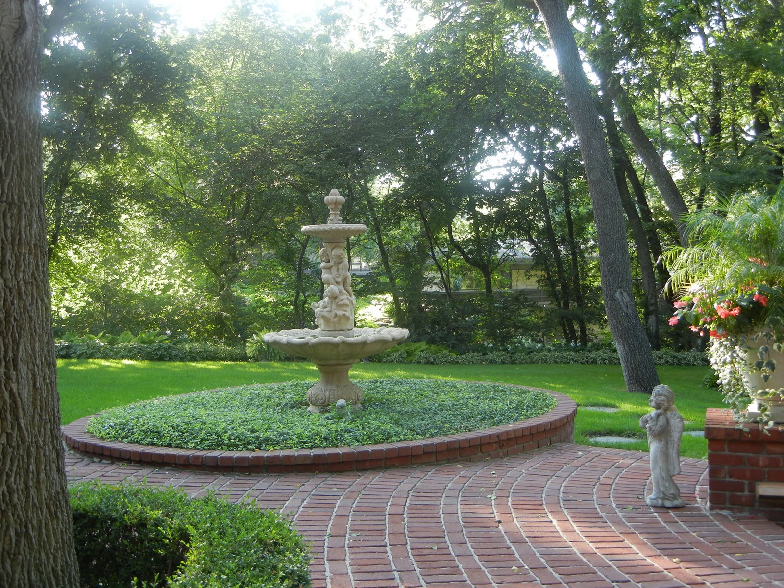 The French Tangerine kelly's garden