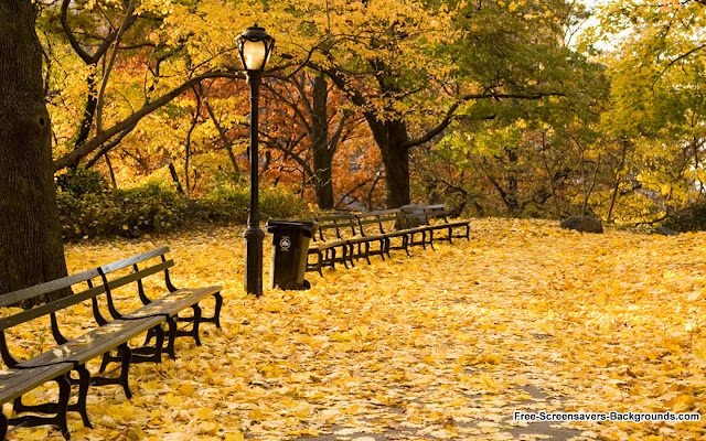 Autumn New York