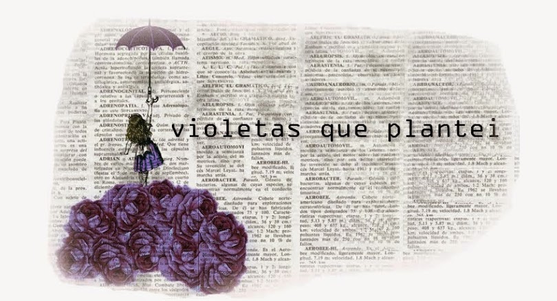 violetas que plantei