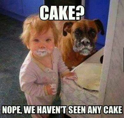cake--no+we+haven't+seen+it.jpg
