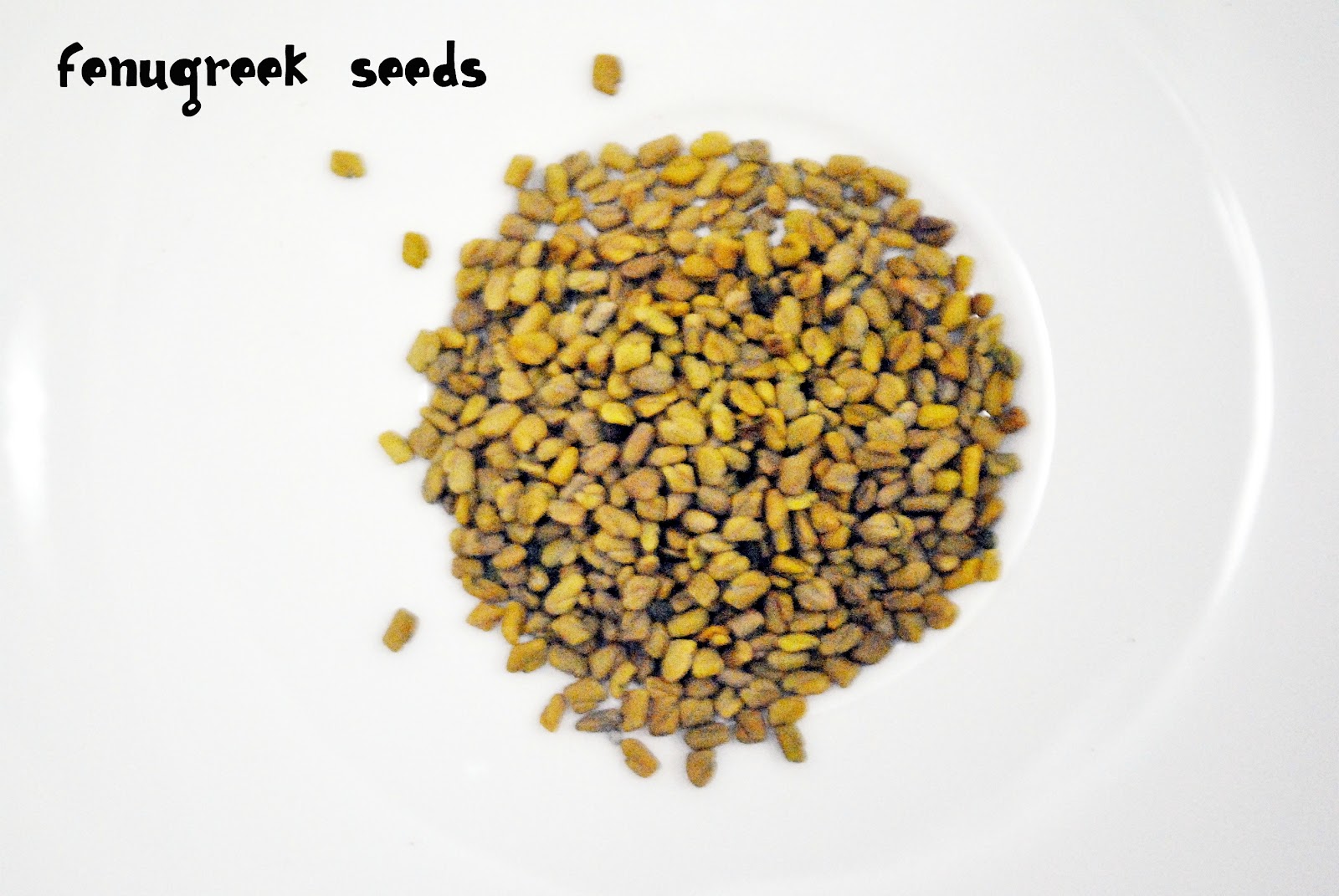 Craftiness Whatnot Roasted Curry Powder Cooking like a Sri Lankan