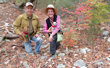 Mary and Lewis enjoy foliage