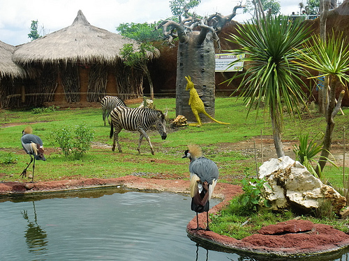 Museum Satwa(secret Zoo) ,Malang ,Indonesia. | ABOUT OF INDONESIA