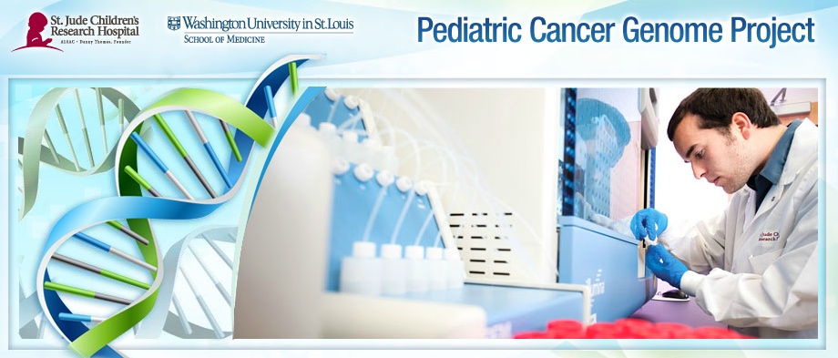 cancer genome project The wealth of data emerging from cancer genome studies nci supports diverse cancer genomics research and the clinical trials sequencing project. cancer genome project The wealth of data emerging from cancer genome studies nci supports diverse cancer genomics research and the clinical trials sequencing project.