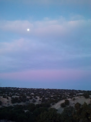 full moon and chamisa