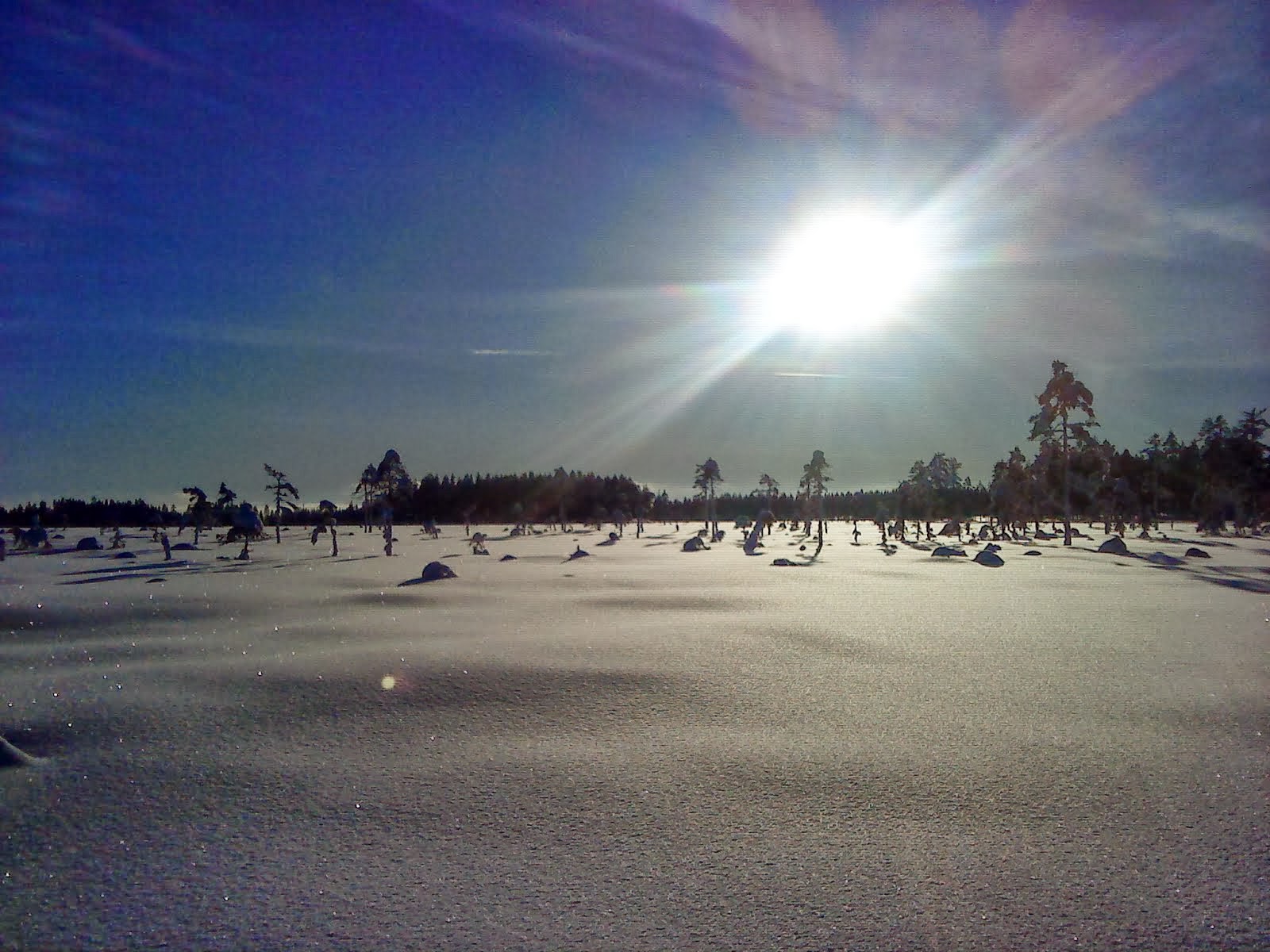 Härliga vinterdag