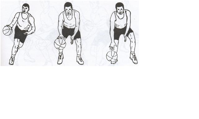 Latihan Dasar BASKET: Teknik Dribble