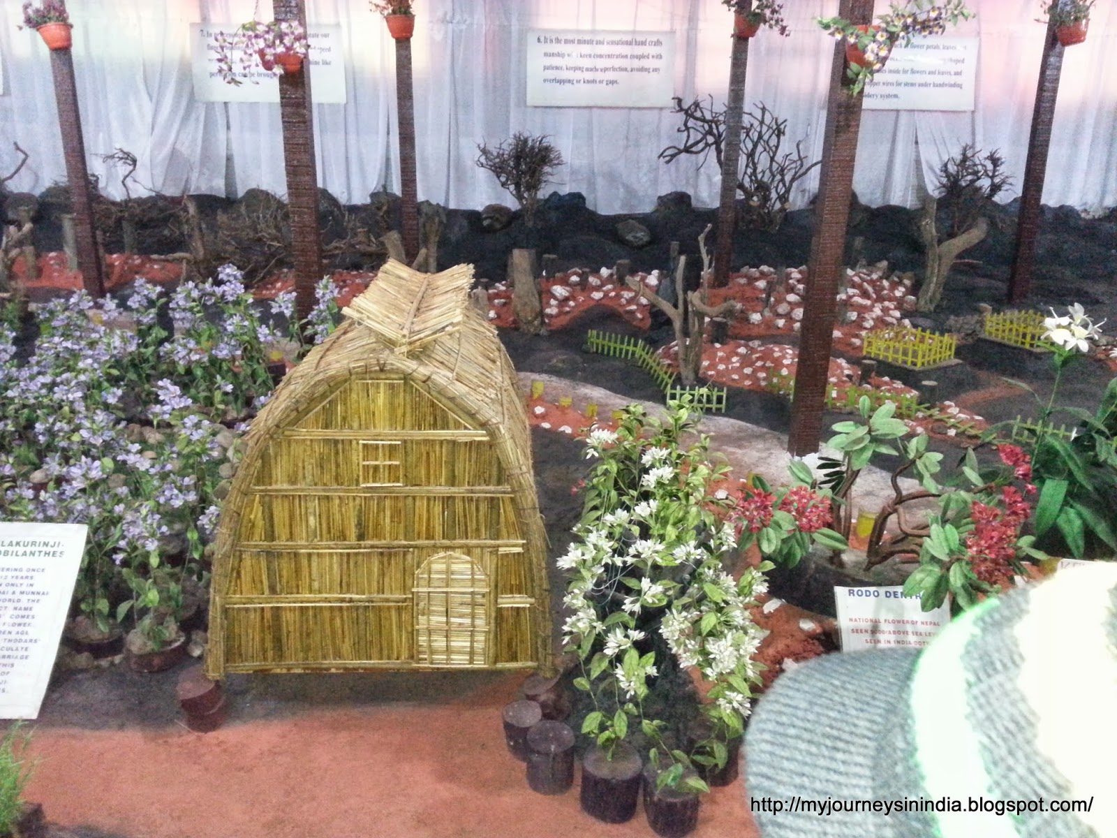 Thread garden Ooty Thread garden Ooty