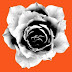 Just One Rose Brushes Plugin