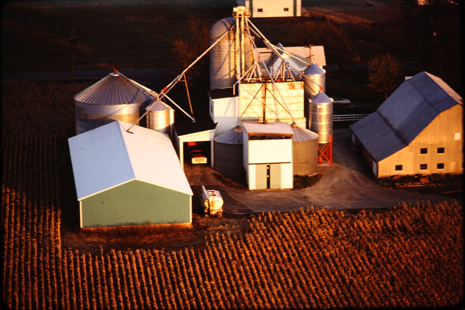 Sunrise Acres Egg Farms Looking Back Sunrise Acres