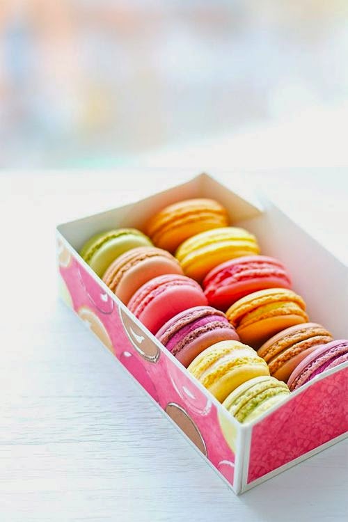 MACARON / MAKARON ! Tema Düzenliyorum )