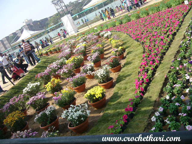 Ahmedabad flower show