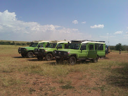 BSH Safari jeeps