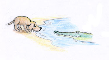 EL PERRO Y EL COCODRILO el perro y el cocodrilo: