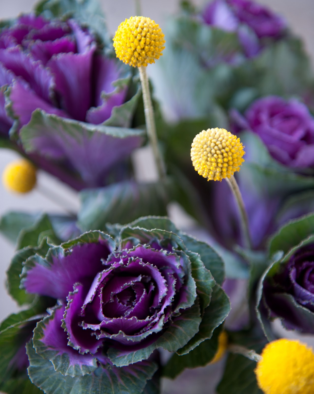 Broadway Blooms Sophisticated Flower Arrangements by Broadway Blooms