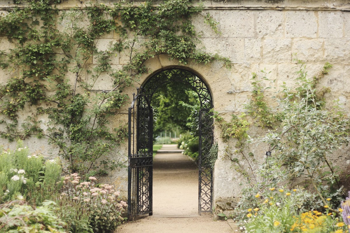 oxford botanic garden august
