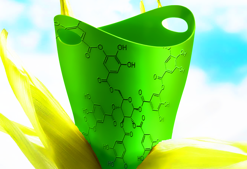 Biobased Polymers Blog: Kasım 2013
