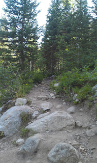 Red Pine Trail Alta Utah