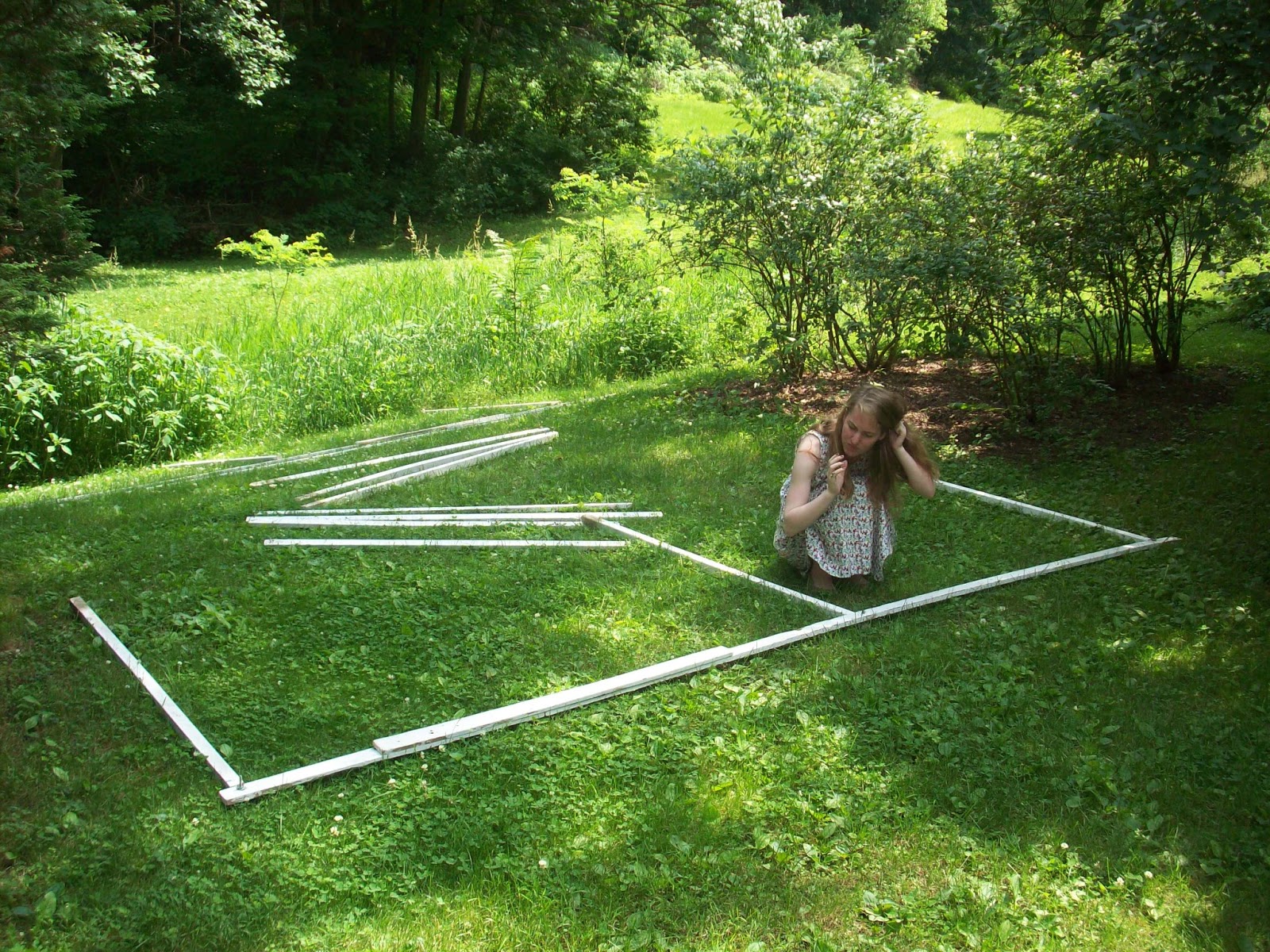 4 acres and a stream The Blueberry Cage