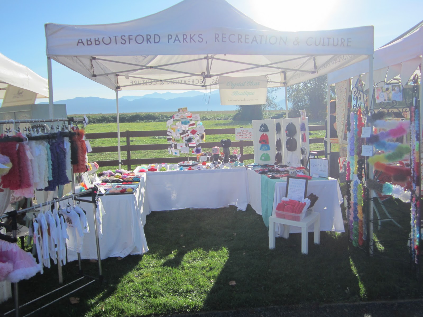 Crystal Clear Boutique