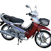 ASYA MOTOR AS110-8 Motosiklet
