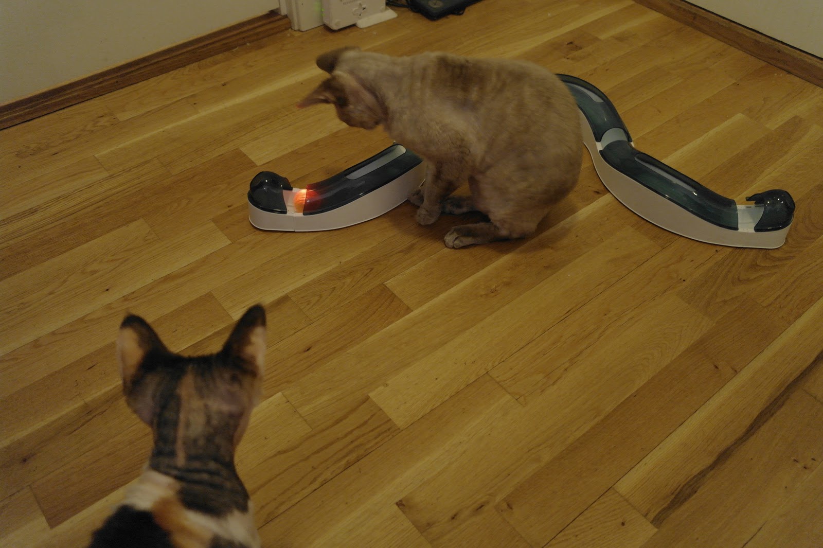 The Operacats Mechanical Cattoy reviews