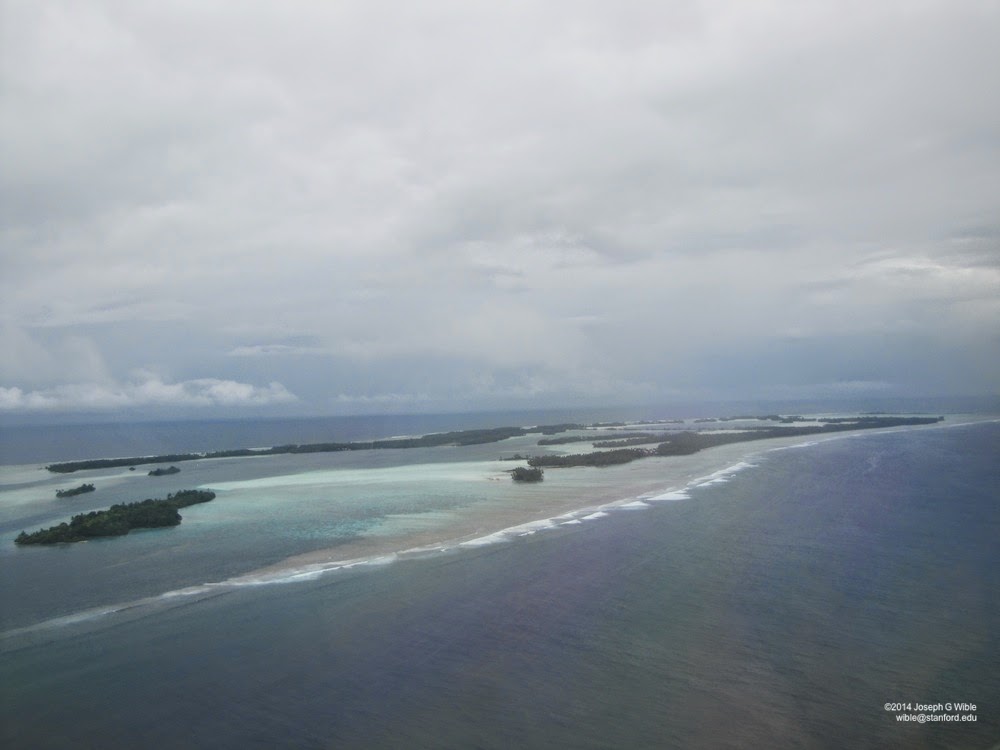 Librarian on Palmyra Atoll Getting to Palmyra the rest of the saga