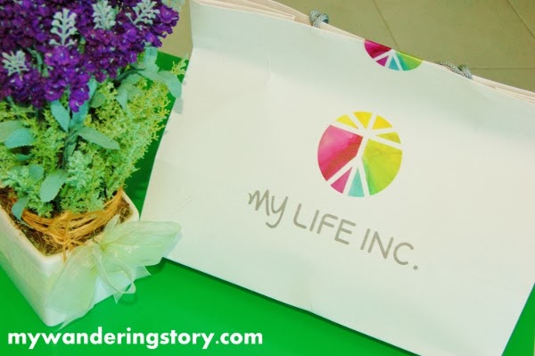 the wanderer s journal creating healthier and better life with my life inc