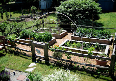 garden now - think later! : Spring Garden Vegetables