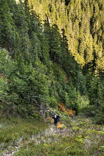 Climbing the steep gully to the circe on the stow creek approach to H'kusam Mountain