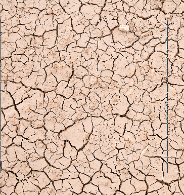 APUNTES - REVISTA DIGITAL DE ARQUITECTURA: Arquitexturas Naturales 3