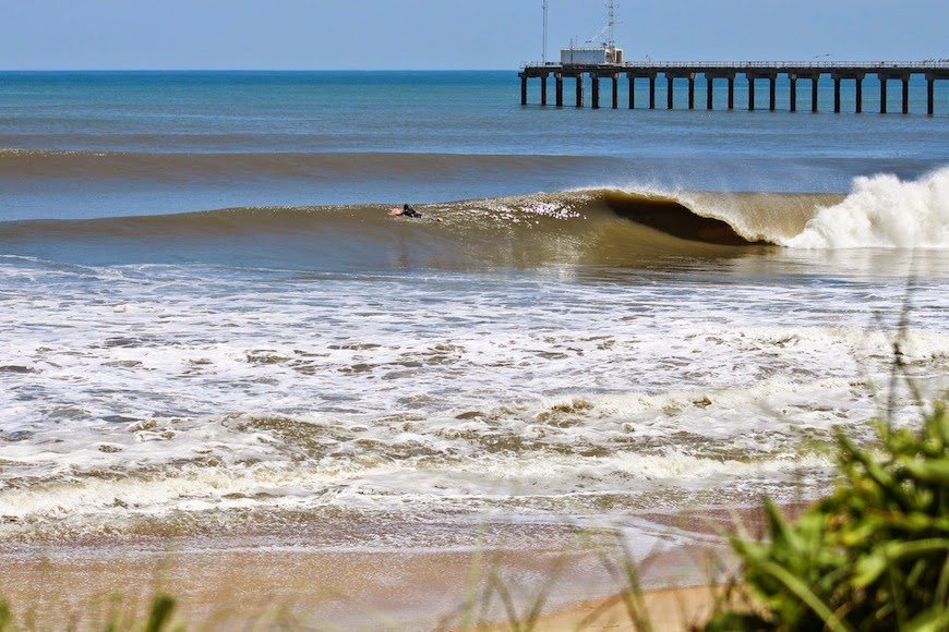 Lex Weinstein Outer Banks Gold