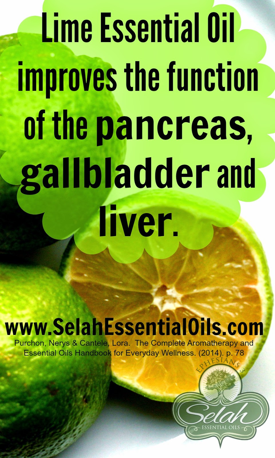 Selah's Oily Blessings Lime essential oil and the Pancreas