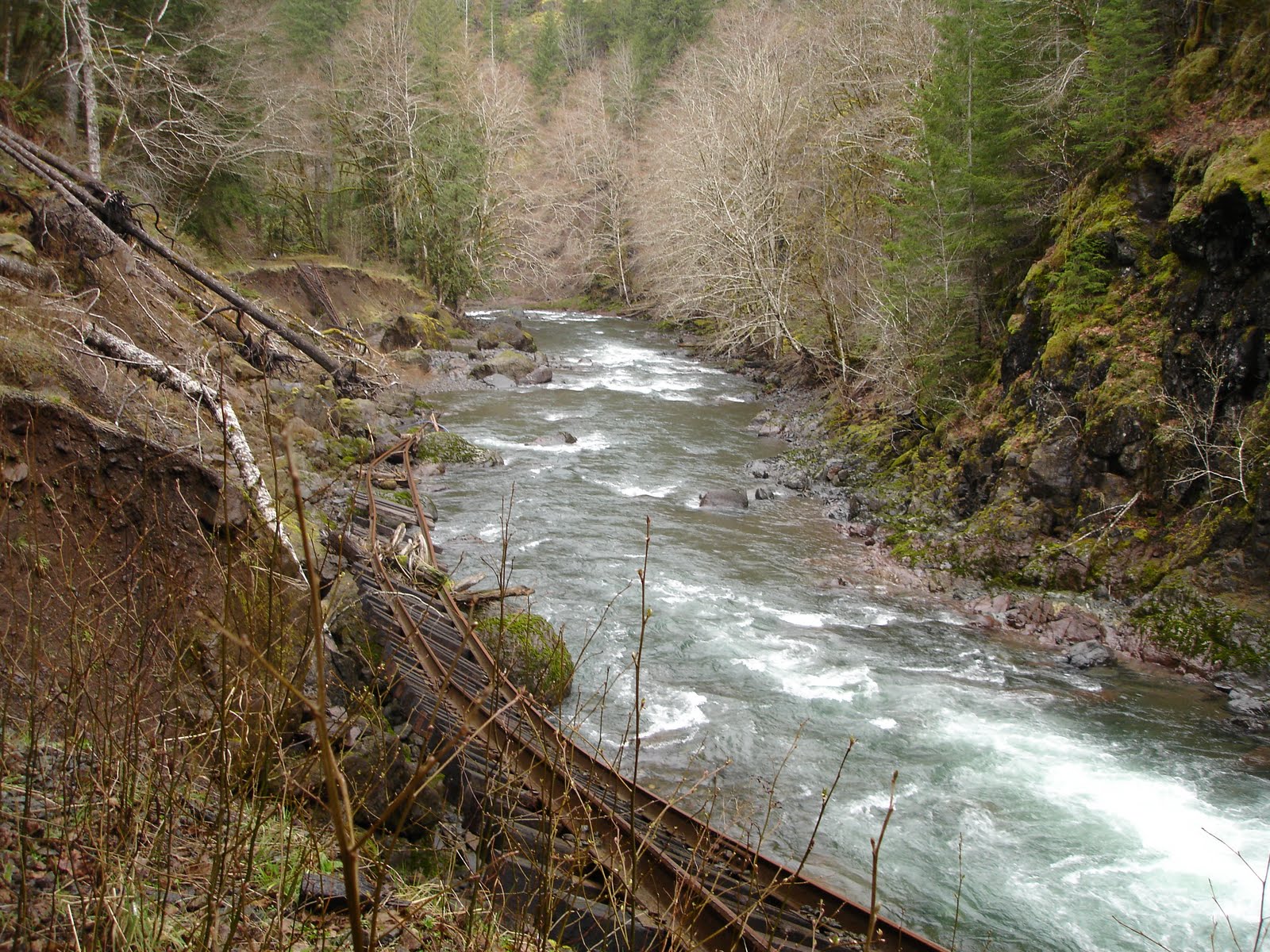 Flyfishing and the two Portlands Salmonberry River Eden in the Moss.