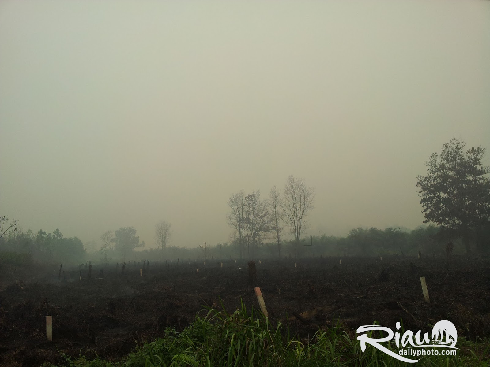 RIAU DAILY PHOTO Eks Lahan terbakar di Pasar Baru Pangkalan Kerinci
