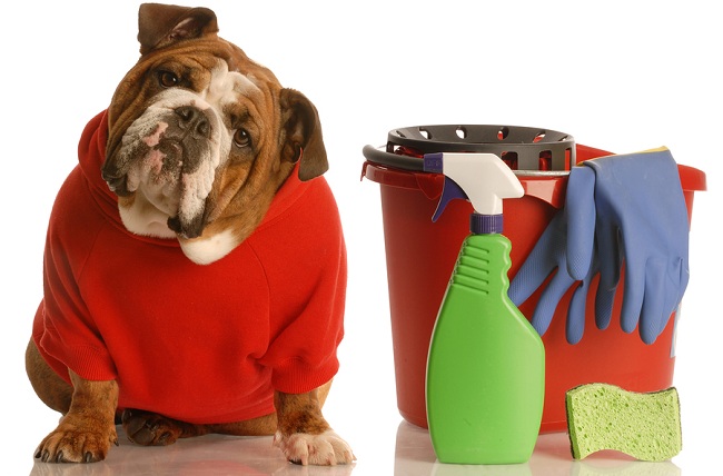 Clean a Dog Carrier Clean a Dog Carrier