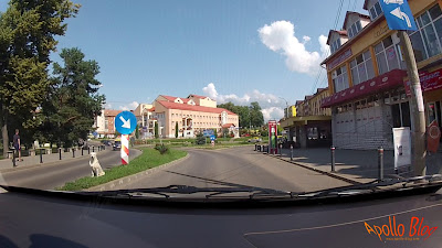 Caine in intersectie