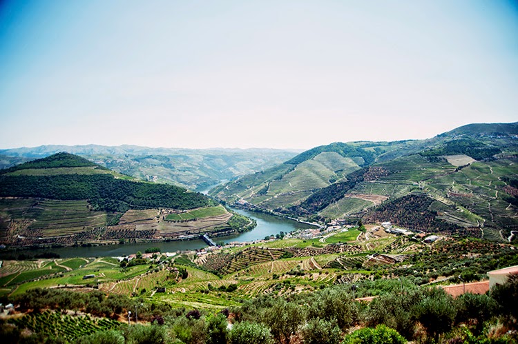 Douro Valley, Porto Portugal