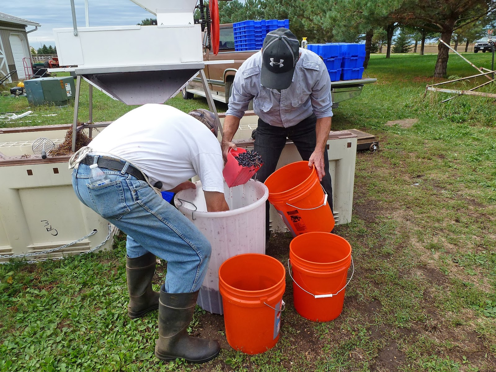Rick, Deb and Izzy Aboard M/V Broulee and other Wild Adventures. Wine Making 101