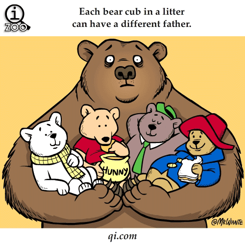 animal facts in funny