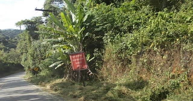 Cantareira Informe LIMPEZA DA ESTRADA DA ROSEIRA ( ESTRADA PARQUE ?)
