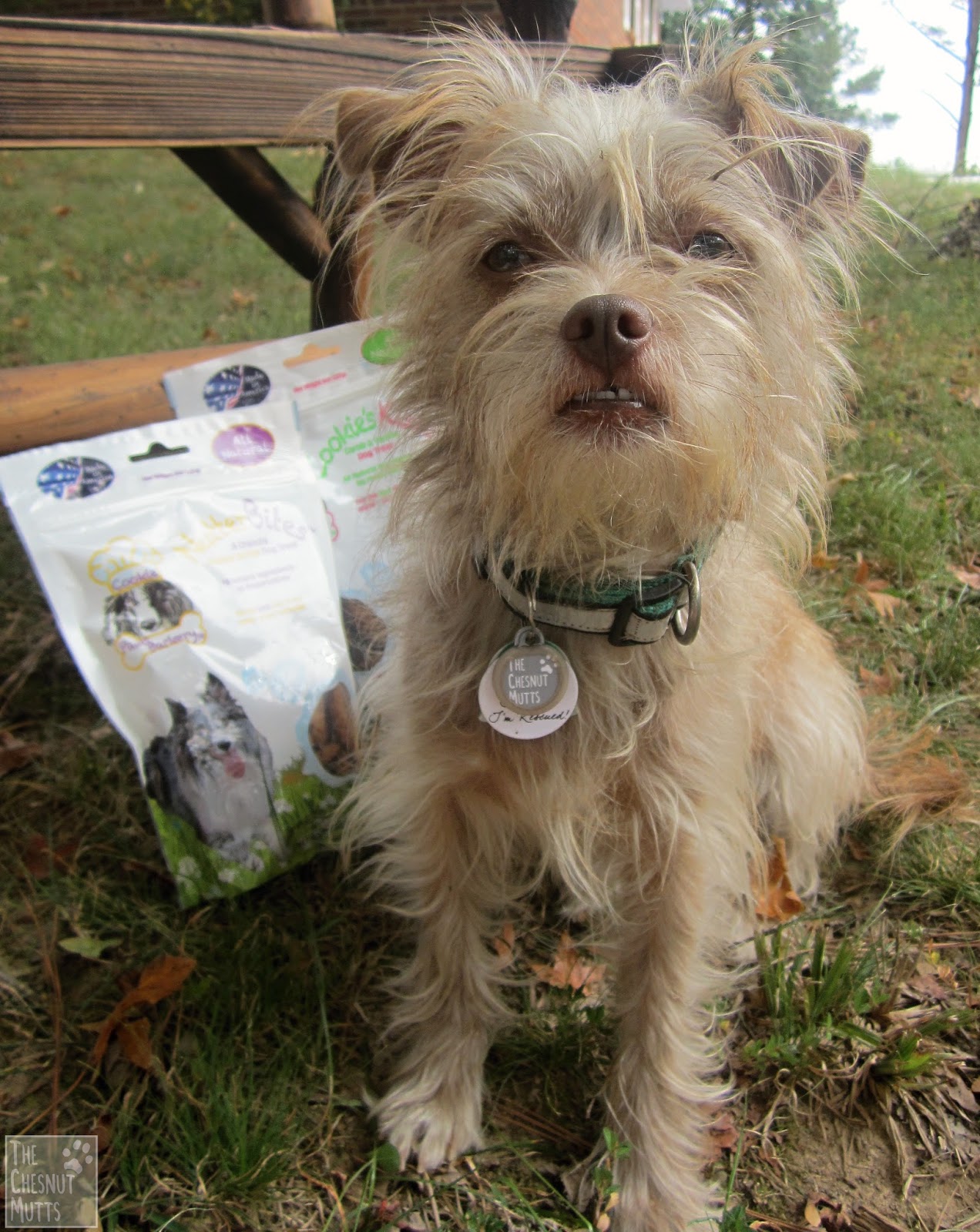 Review & Giveaway Paws Barkery Dog Treats The Chesnut Mutts