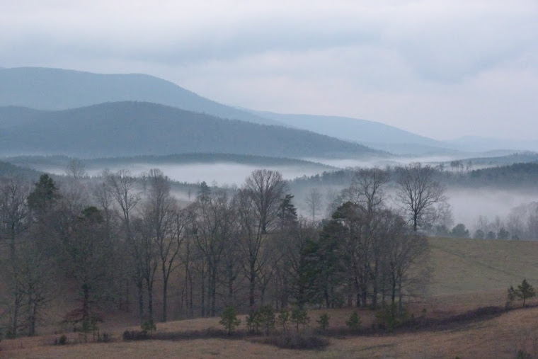 Dewberry Lands 2018 Alabama Treasure Forest Association President