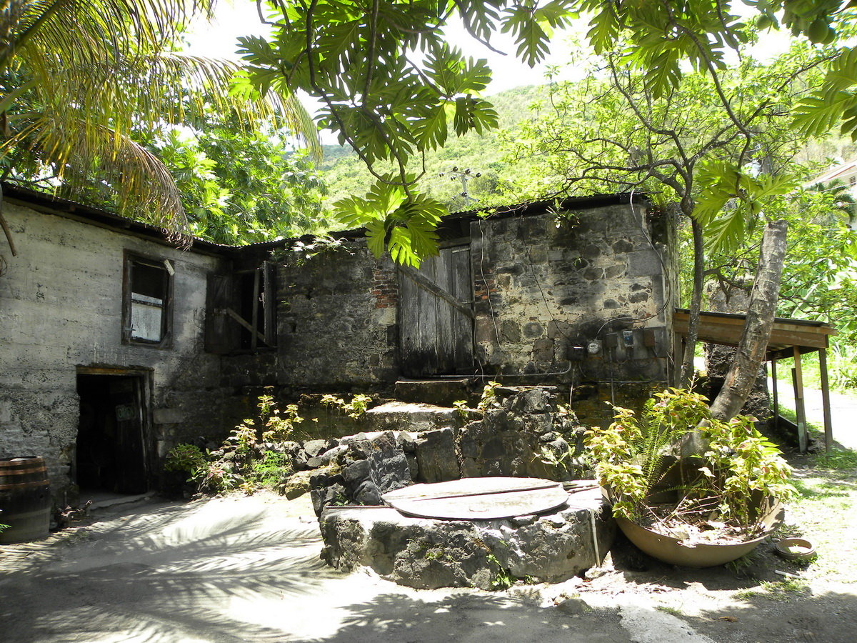 Scrumpdillyicious Cane Garden Bay and Callwood's Rum Distillery